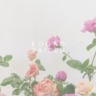 小顔大全【公式】